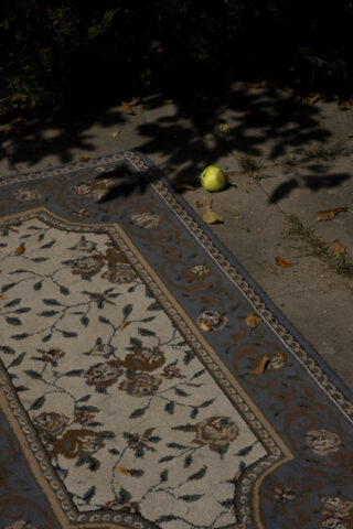 Ein gemusterter Teppich liegt auf einer Betonfläche im Freien, daneben, teilweise im Schatten, ein grüner Apfel und einige verstreute Blätter.