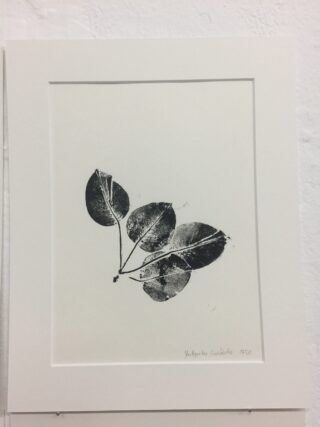 Schwarzweißdruck von vier überlappenden Blättern, die an einem kurzen Stiel befestigt sind, zentriert auf einer weißen Passepartout-Platte mit einer Signatur und einer Editionsnummer an der Unterseite.