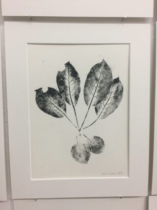 Schwarzer Tintendruck von sechs strukturierten Blättern, fächerförmig auf weißem Papier angeordnet, in einem weißen Rahmen präsentiert. Der Druck ist in der unteren rechten Ecke signiert und datiert.