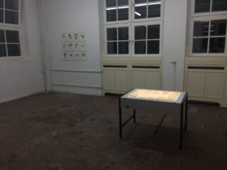 Ein Kunstgalerieraum mit einem beleuchteten Ausstellungstisch mit Papieren und einer Wandausstellung mit kleinen gerahmten Kunstwerken vor großen Fenstern und einem schlichten Boden.