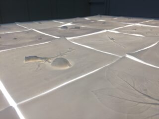 Nahaufnahme von beleuchteten weißen Fliesen mit geprägten natürlichen Elementen wie Blättern und Zweigen, die strukturierte Muster auf der Oberfläche erzeugen.