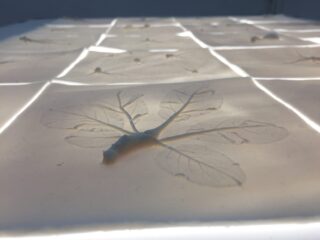 Nahaufnahme mehrerer weißer Fliesen mit erhabenen, detaillierten Blattabdrücken, die in einem Gittermuster angeordnet und von den Rändern durch Licht beleuchtet sind.