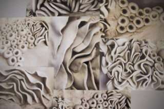 Collage aus Nahaufnahmen, die komplizierte, abstrakte und organische Formen zeigen, die Korallen oder Ton-Skulpturen in neutralen Tönen ähneln.