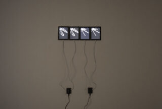 An einer Wand sind vier Tablets angebracht, auf denen jeweils ein abstraktes Schwarzweißbild zu sehen ist. Von ihnen hängen Kabel herunter, die mit zwei darunterliegenden Netzteilen verbunden sind.