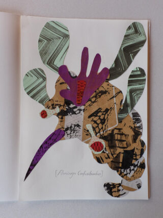 Abstrakte Collage aus verschiedenen ausgeschnittenen Formen und Mustern auf weißem Papier mit der Aufschrift „[Florisuga Confusibumbus]“ unter dem Kunstwerk.