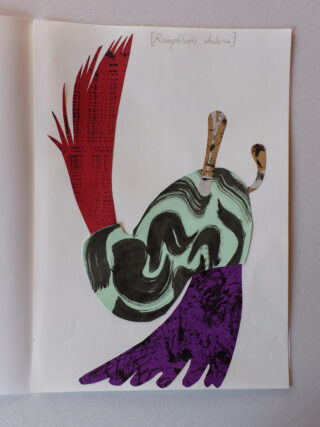 Eine stilisierte Darstellung einer schneckenartigen Kreatur mit marmoriertem Gehäuse, roten und violetten Anhängseln und zwei braunen Fühlern mit der Aufschrift „[Romphluris dolatoria]“.