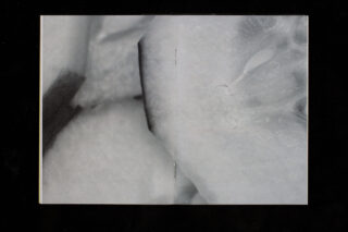 Nahaufnahme, Schwarzweißfoto einer Fruchtscheibe, möglicherweise eines Apfels, gedruckt über zwei Seiten eines offenen Hefts mit sichtbaren Heftklammern in der Mitte.