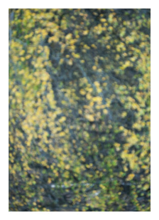 Ein verschwommenes Bild, das eine unscharfe Szene mit Grün- und Gelbtönen zeigt und möglicherweise Laub oder Baumblätter darstellt.