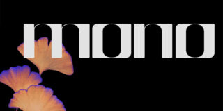 Das Wort „Mono“ in großen, fetten, weißen Buchstaben auf schwarzem Hintergrund mit orangefarbenen Ginkgoblättern in der unteren linken Ecke.