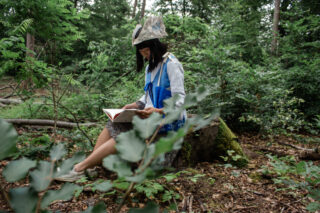 Eine Person mit Papierhut und blauer Weste sitzt auf einem Baumstumpf im Wald und zeichnet oder schreibt in ein Notizbuch.
