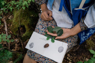 Eine Person in gemusterter Kleidung sitzt in einem Wald und hält grüne Blätter und Samen in der Hand. Auf ihrem Schoß liegt ein aufgeschlagener Naturführer mit Blatt- und Tannenzapfenillustrationen.