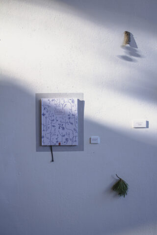 An einer weißen Wand hängt eine Leinwand mit blauen botanischen Strichzeichnungen. Darunter ist ein kleines Etikett und ein grüner Kiefernzweig angebracht. Sonnenlicht wirft sanfte Schatten an die Wand.