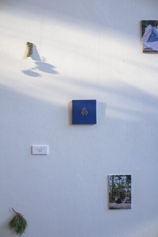 An einer weißen Wand hängen eine kleine Skulptur, eine blaue Leinwand mit silbernem Emblem, zwei Fotografien, ein Wandschild und ein Zweig mit Tannennadeln. Sonnenlicht wirft Schatten auf das Arrangement.