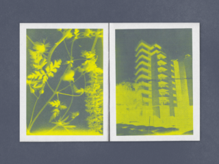 Zwei Bilder mit weißem Rand: Das linke zeigt gelb getönte Pflanzen und Blätter, das rechte ein gelb getöntes mehrstöckiges Gebäude auf grauem Hintergrund.