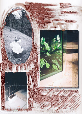 Eine Collage aus drei Fotos: eine Person, die im Gras sitzt, Zimmerpflanzen hinter einem Glasfenster bei Nacht und ein Toaster auf einem gefliesten Boden, überlagert mit strukturierten braunen Pinselstrichen.