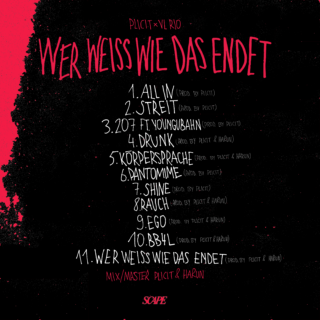 Schwarzes Albumcover mit rosa Farbspritzern, handgeschriebene Titelliste in weißem und rosa Text, mit dem Titel „Wer Weiss Wie Das Endet“ von Plict und Xl Rio, mit der Auflistung von 11 Songs.