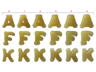 Fünf Reihen von Nudelstücken in Form der Buchstaben A, F und K sind in Spalten unter einer nummerierten Skala von 0 bis 5 angeordnet.