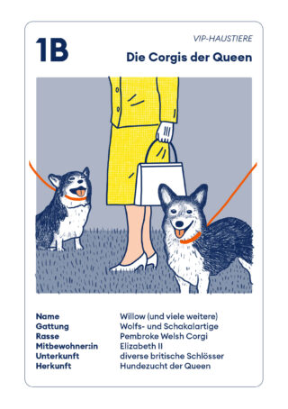 Illustration einer Frau in einem gelben Rock, die eine Handtasche hält und mit zwei Pembroke Welsh Corgis an der Leine steht, mit deutschem Text über die Corgis der Queen.