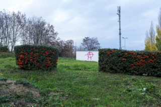 Eine weiße Wand mit einem rosa Graffiti mit Anarchiesymbolen steht hinter grünem Gras und zwei Büschen mit roten Beeren auf beiden Seiten.