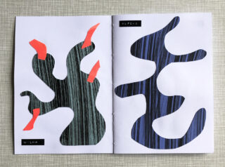 Zwei abstrakte, organische Formen auf einem offenen Heft; die linke Form ist grün mit roten Spitzen und trägt die Aufschrift „Wilma“, die rechte Form ist blau und trägt die Aufschrift „Alfons“.