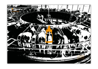 Schwarzweißbild von Kühen, die in einem runden Melkstand stehen; eine Kuh im mittleren Vordergrund ist mit einer orangefarbenen Überlagerung hervorgehoben.