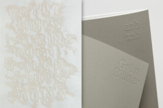 Zwei graugrüne Bücher mit geprägtem Einband stehen nebeneinander; das linke weist ein abstraktes, strukturiertes Design auf, während das rechte erhaben den Text „Grüne Blätter“ trägt.