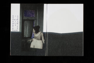 Eine Frau im weißen Rock schaut aus einem Fenster in einem dunklen Raum; deutscher Text ist vertikal und horizontal auf der linken Seite des Bildes angeordnet.