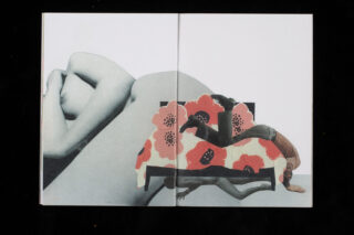 Eine Collage einer liegenden nackten Figur, überlagert mit roten Mohnblumen und ausgeschnittenen Bildern von Körpern in verschiedenen Posen. Der Hintergrund ist eine schlichte, helle Oberfläche.