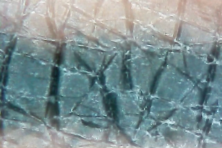 Nahaufnahme einer strukturierten Oberfläche mit sich kreuzenden Linien und rechteckigen Mustern, möglicherweise unter dem Mikroskop sichtbar. Die Farben umfassen Blau-, Grau- und Beigetöne.