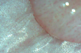 Nahaufnahme eines runden, rosafarbenen Objekts mit glatter Textur, das teilweise auf einer blassen, strukturierten Oberfläche ruht.