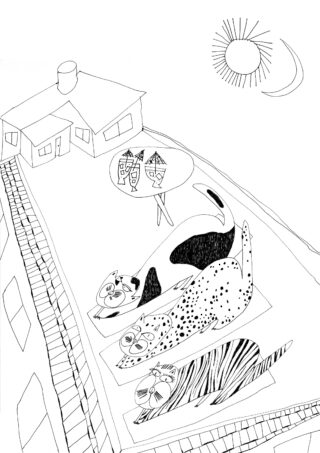 Drei Katzen liegen auf Matten auf einem Dach unter Sonne und Halbmond; ein Haus ist in der Nähe und eine Sprechblase zeigt zwei stilisierte menschliche Gesichter mit Getränken.