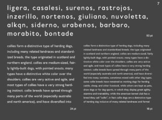 Ein dunkler Hintergrund mit weißem Text listet oben Wörter auf, und darunter befinden sich kleinere Textblöcke, die die Collie-Arten und ihre Hütefähigkeiten erläutern. Die Seitenzahlen 7, 50, 24 und 18 sind sichtbar.