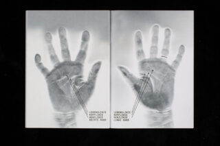 Zwei Graustufenbilder der linken und rechten Hand mit den auf Deutsch und Englisch beschrifteten Handlinien: Lebenslinie, Kopflinie, Herzlinie; schwarzer Hintergrund.