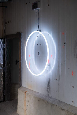 An einer getäfelten Wand ist ein weißes Neonringlicht angebracht, das einen kreisförmigen Schein und Schatten wirft; an der Wand unter dem Licht sind rote Markierungen und ein QR-Code sichtbar.