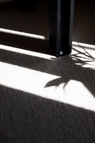 Sonnenlicht wirft Schatten eines Tischbeins und von Pflanzenblättern auf einen strukturierten beigen Teppich.