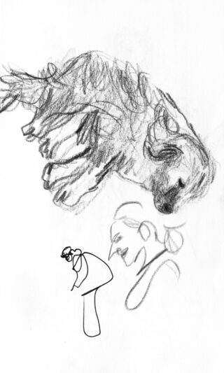 Eine grobe Bleistiftskizze eines liegenden Hundes, mit einer einfachen Zeichnung eines Pilzes und einigen gekritzelten Linien darunter.