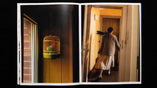 Linke Seite: Ein grüner Papagei in einem Käfig neben einem Fenster. Rechte Seite: Eine Person geht einen Flur entlang, auf ihrer linken Schulter sitzt ein schwarzer Vogel.