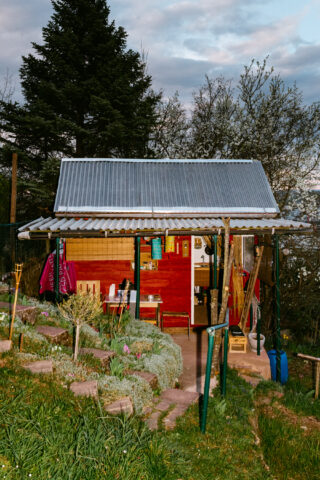 Ein kleiner Holzschuppen mit Blechdach steht in einem Garten mit Steinstufen, Pflanzen und Gartengeräten. Bäume umgeben den Schuppen unter einem bewölkten Himmel.