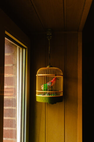 Ein kleiner Vogelkäfig mit einem bunten künstlichen Vogel darin hängt an einer Holzwand in der Nähe eines Fensters, durch das Sonnenlicht hereinfällt.