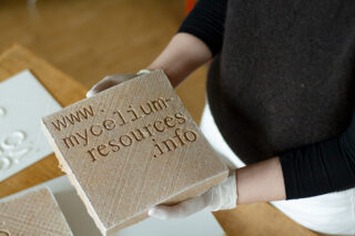 Eine Person mit Handschuhen hält einen quadratischen Block, auf dessen Oberfläche „www.mycelium-resources.info“ eingraviert ist.