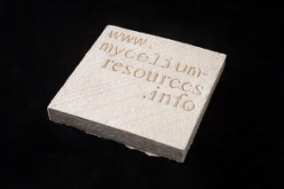 Ein quadratischer Block mit dem eingravierten Text „www.myceliumresources.info“, angezeigt vor einem schwarzen Hintergrund.