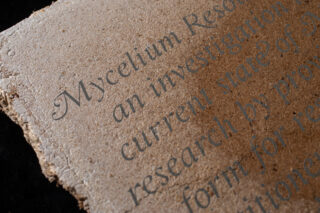 Eine Nahaufnahme eines auf ein raues, braunes, faseriges Blatt gedruckten Textes lautet: „Mycel Reso… eine Untersuchung des aktuellen Stands der… Forschung von Profis… Formular für Le…“.