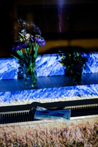 Eine Glasvase mit verwelkten Blumen, eine kleine Topfpflanze und eine Einweg-Gesichtsmaske stehen auf einer von bläulichem Licht beleuchteten Oberfläche.