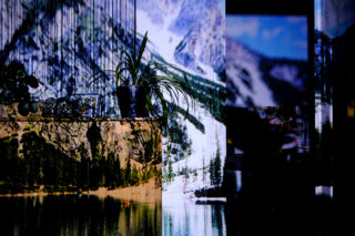 Ein Zimmerinterieur mit einer Topfpflanze und einem Schrank, darüber projiziert das Bild einer Berglandschaft mit Bäumen und Wasser.