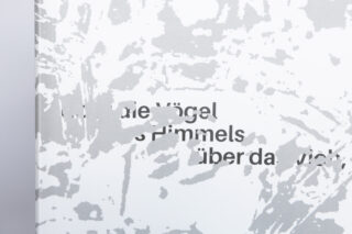 Nahaufnahme eines Buchumschlags mit abstrakten grauen und weißen Mustern, die den schwarzen deutschen Text teilweise verdecken.