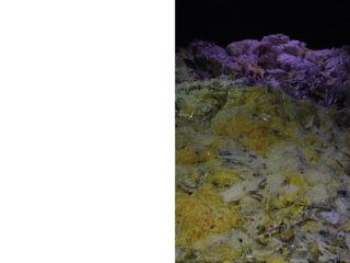 Ein großer Haufen gemischter Abfälle, hauptsächlich Plastik, mit gelber und violetter Beleuchtung füllt die rechte Hälfte des Bildes vor einem dunklen Hintergrund; die linke Hälfte ist weißer Raum.