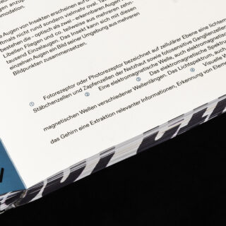 Nahaufnahme einer gedruckten Seite mit deutschem Text, die einen Teil eines Absatzes und den Buchrand vor einem schwarzen Hintergrund zeigt.