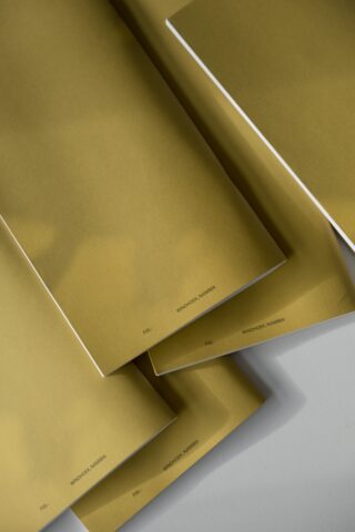 Auf einer weißen Fläche liegen mehrere goldfarbene Broschüren mit den Worten „PGL“ und „INTRODUCE MARIANA“ in der unteren rechten Ecke.