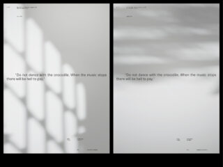 Auf zwei nebeneinander stehenden minimalistischen Postern ist dasselbe Zitat über den Tanz mit einem Krokodil zu sehen, jedes mit leicht unterschiedlichen Schattenmustern auf hellgrauem Hintergrund.