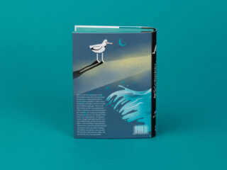Ein gebundenes Buch mit einem illustrierten Einband, der einen weißen Vogel auf Sand zeigt, der auf eine Mondsichel blickt, mit stilisierten Meereswellen und einem Barcode auf der Rückseite vor einem blaugrünen Hintergrund.